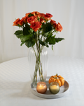 Rose A Grappolo - Arancio