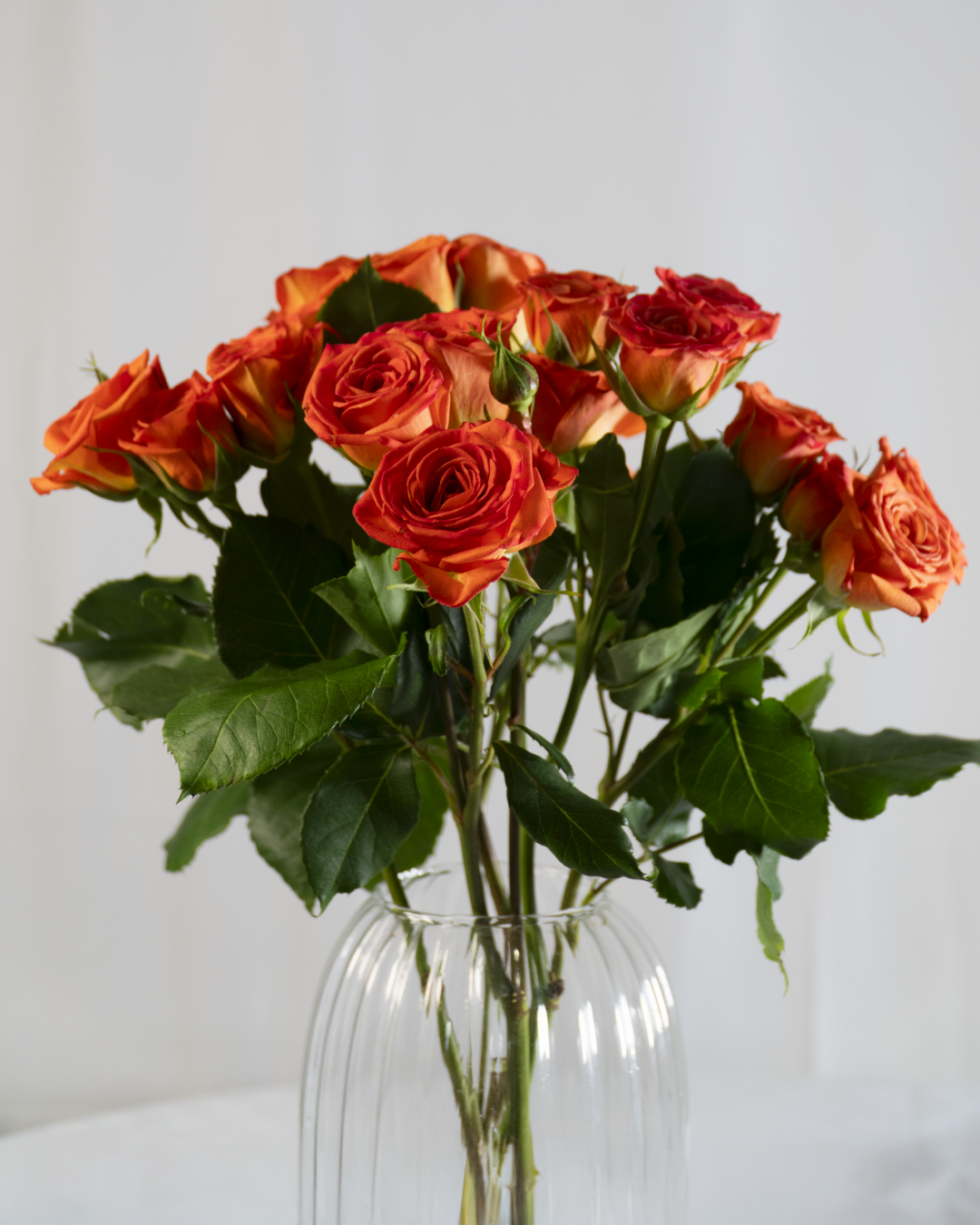 Rose A Grappolo - Arancio