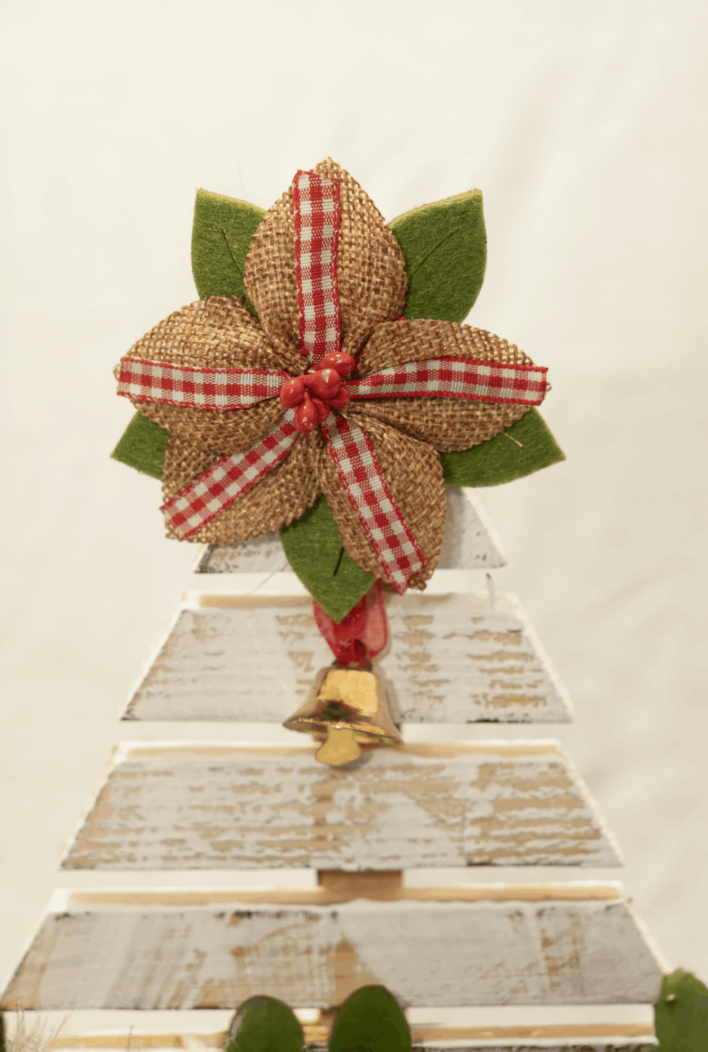 Piante Grasse - Albero Di Legno