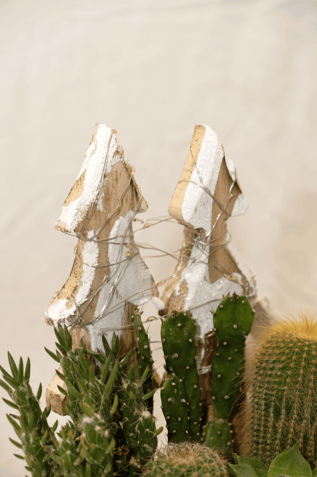 Piante Grasse - Albero Di Legno V2