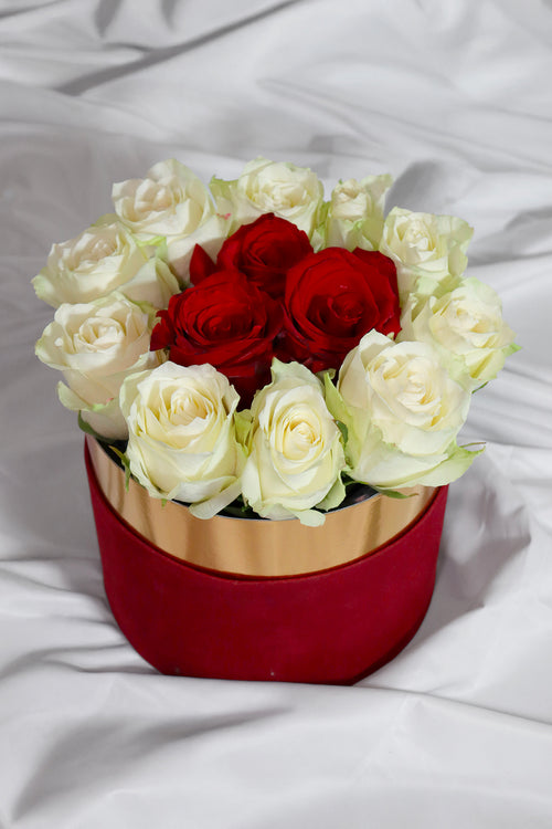 Be My Valentine