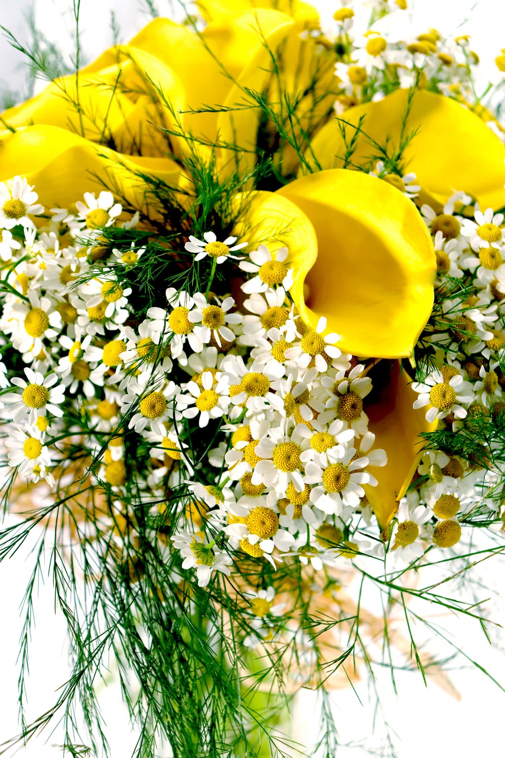 Yellow Garden